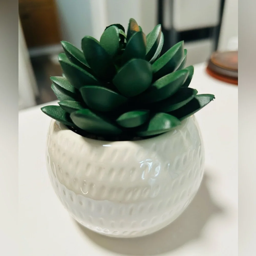 Sloth Faux Succulent Plant